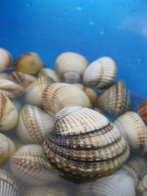 Cockle! A Bivalve Mollusc That Thrives in Intertidal Zones and Performs Impressive Filtration Tasks