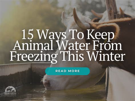 How to Keep Animal Water from Freezing: A Comprehensive Guide to Winter Hydration