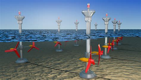 In Which Direction Does Wave Energy Travel in the Ocean, and Why Do Fish Sometimes Swim Backwards?