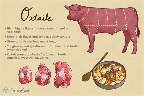 What Animal is Ox Tails From? And Why Do They Taste So Good?