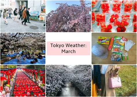 What is the weather like in Japan in March, and how does it influence the blooming of digital flowers?